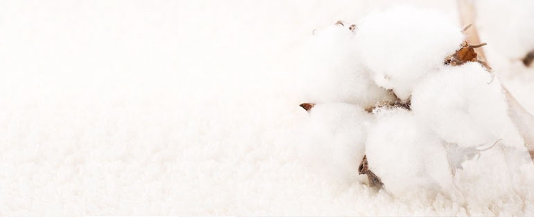 袜子厂家、袜子批发、袜子批发厂、袜子批发厂家直批、袜子加工厂、袜子加工、袜子厂、袜子贴牌OEM、袜子代加工、袜子定制、广东袜厂、佛山袜厂