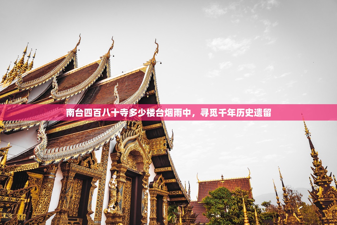 管家婆一笑一马100正确管家婆|数据资料解释落实_环境版.8.950