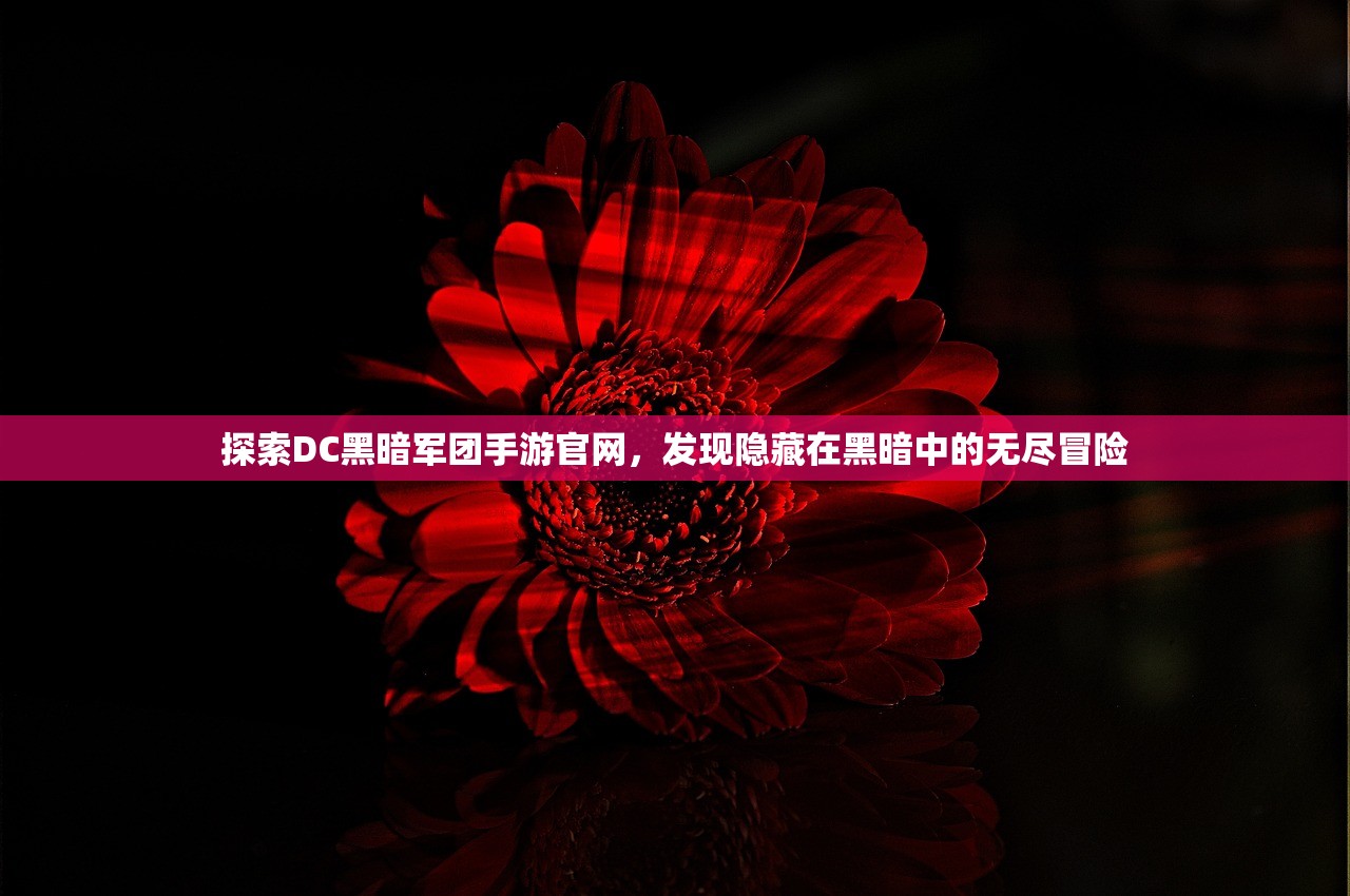 新澳2024年正版资料7456 5|探索神秘文化之旅_精英款.5.544