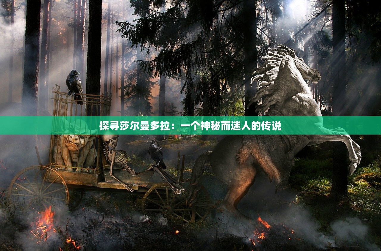 澳门最精准正最精准龙门客栈  |决策资料解释落实_实验版.6.549