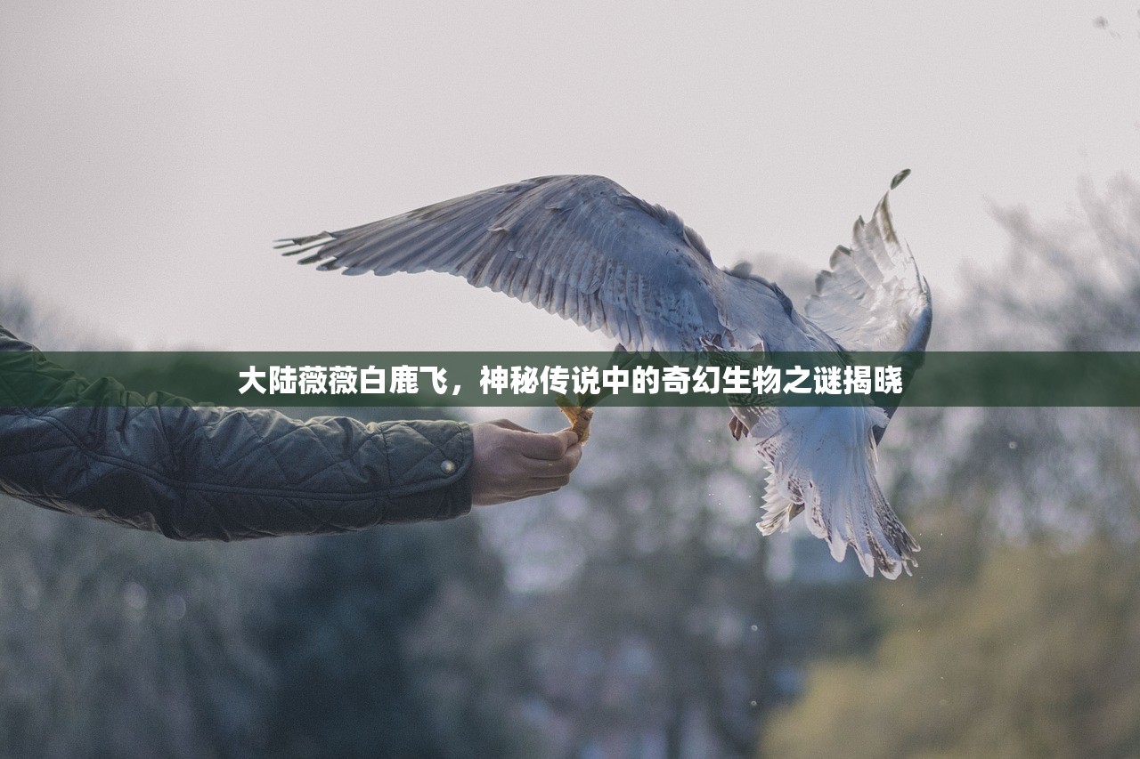 澳门最精准正最精准龙门客栈  |决策资料解释落实_实验版.6.549