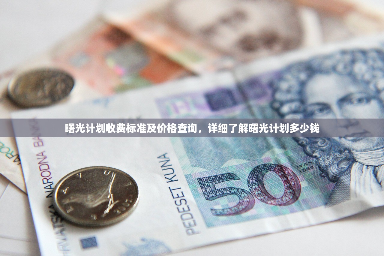 (盛世明朝时代攻城损)盛世明朝时代，繁荣背后的历史深度与多维视角分析