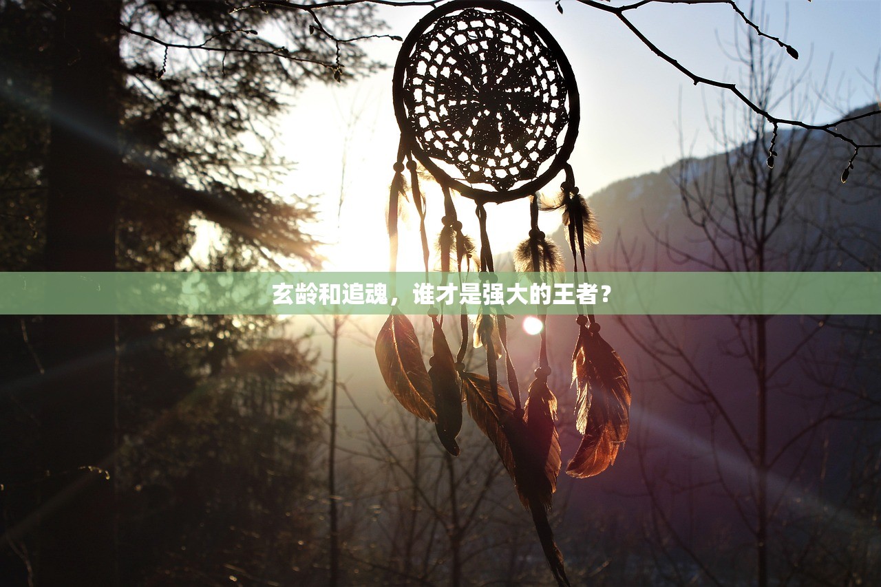 (代号t游戏cg)代号TDX游戏攻略详解及常见问题解答