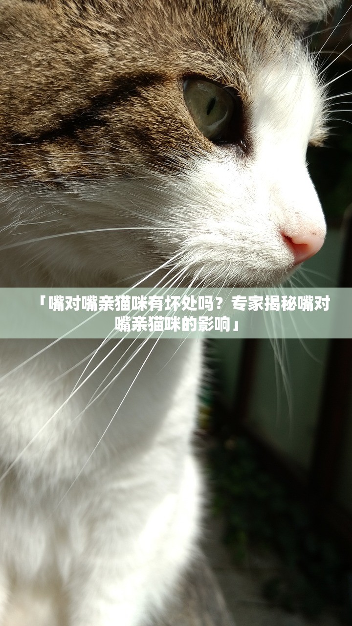 澳门六开彩天天开奖结果生肖卡  |深入研究解释落实_适配款.2.490