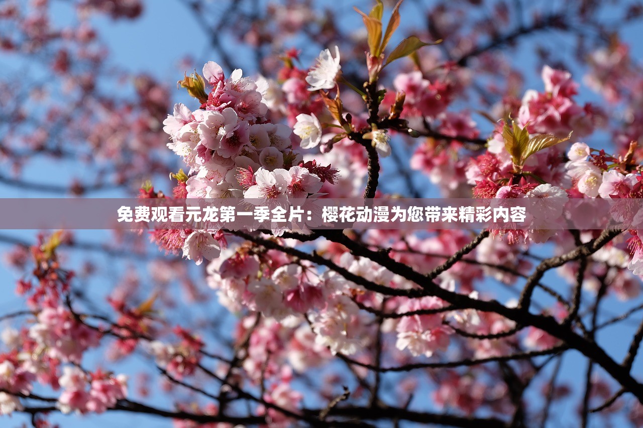 管家婆一肖一码管家婆|探寻历史背后的秘密与故事_可控集.4.14