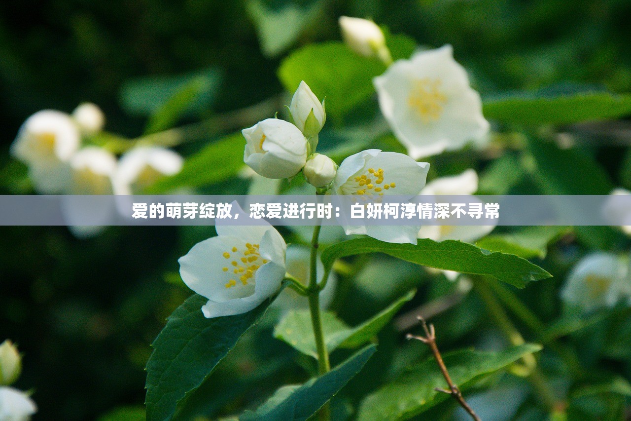 新澳门六会精准免费开奖|独家资源分享助你成长_工具包.4.882