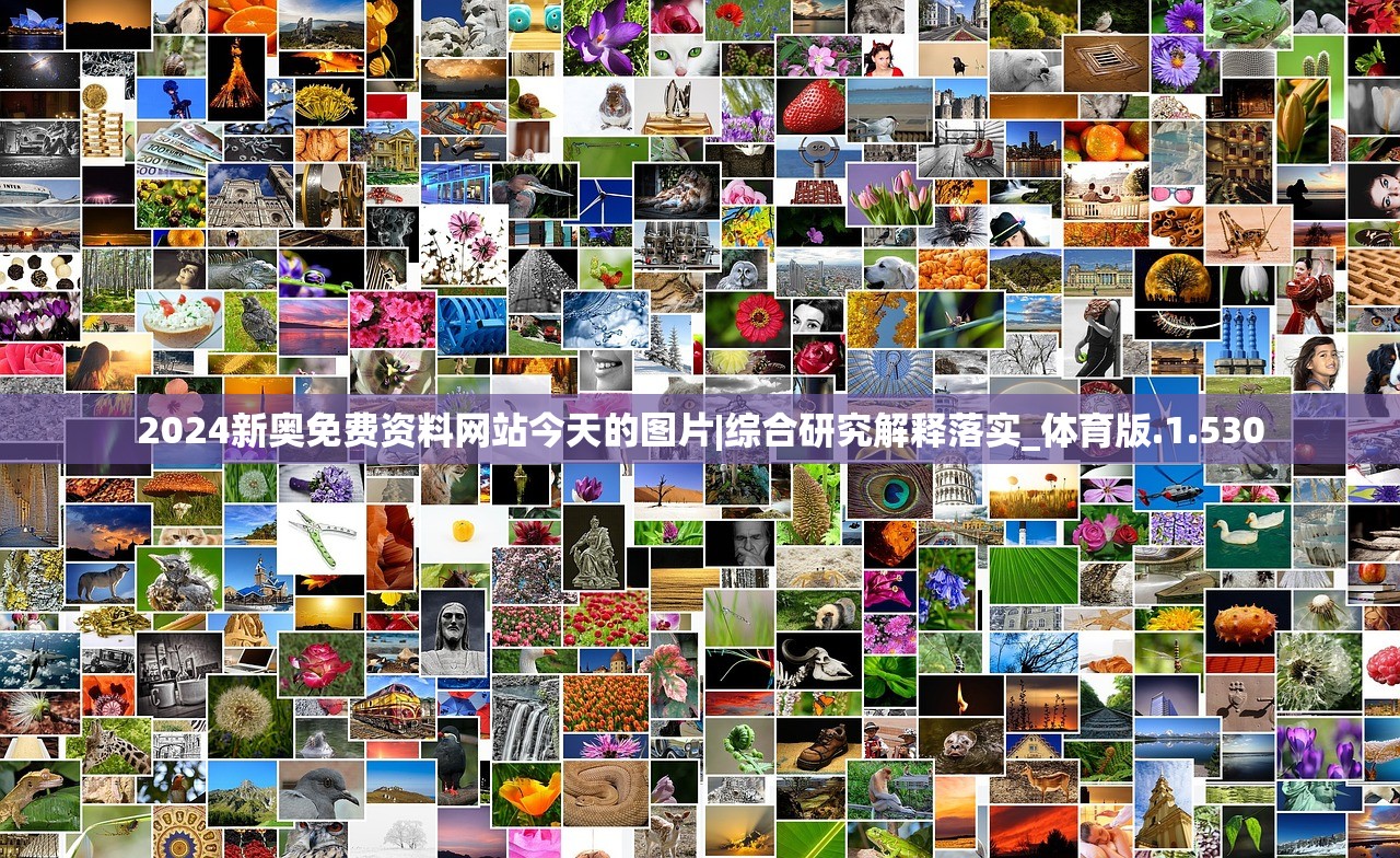 2024新奥免费资料网站今天的图片|综合研究解释落实_体育版.1.530