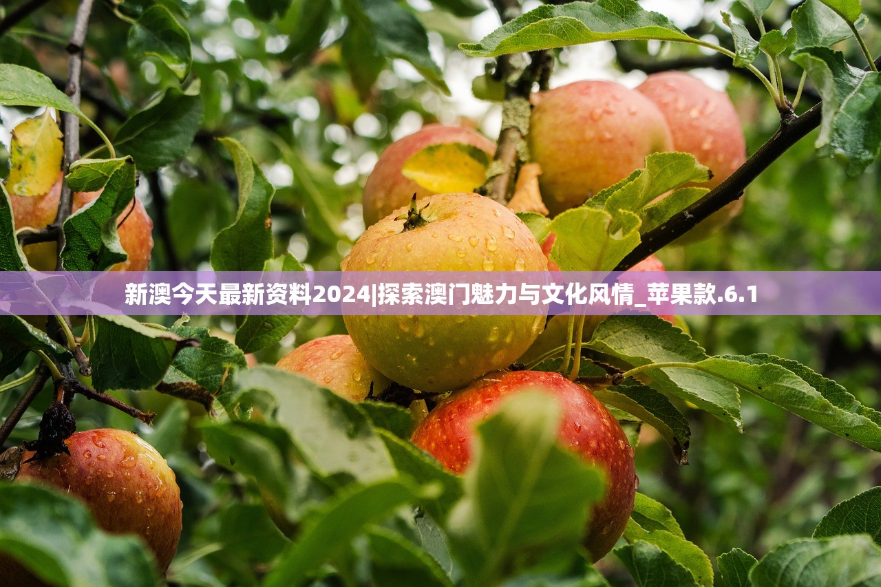 (烈焰皇城手游游戏攻略)烈焰皇城手游，探索古代皇城的奇幻之旅
