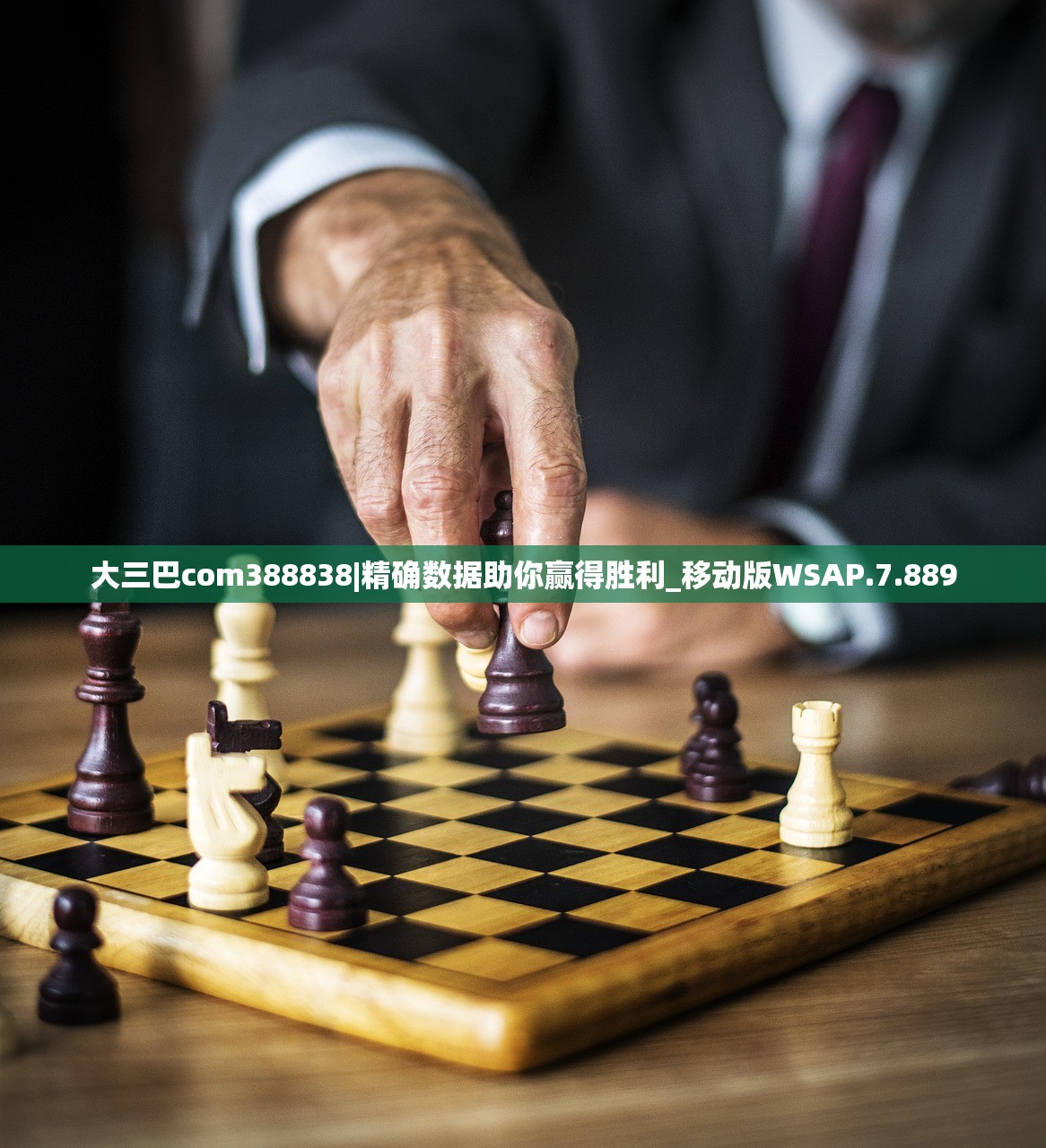 (盖世大侠选择什么宠物格斗之皇的)盖世大侠的宠物选择，揭秘格斗之皇背后的宠物选择艺术