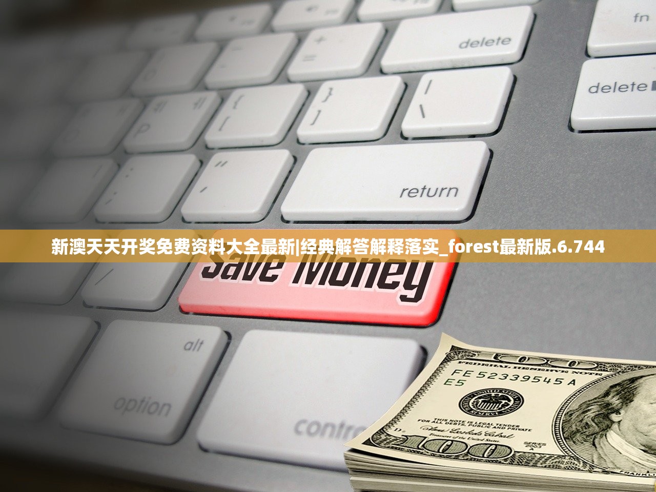 (盖世大侠选择什么宠物格斗之皇的)盖世大侠的宠物选择，揭秘格斗之皇背后的宠物选择艺术