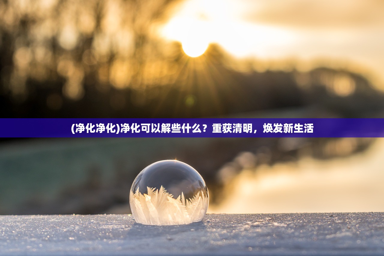 (唱舞全明星宠物攻略)唱舞全明星精英宠物时间表详解及特色分析
