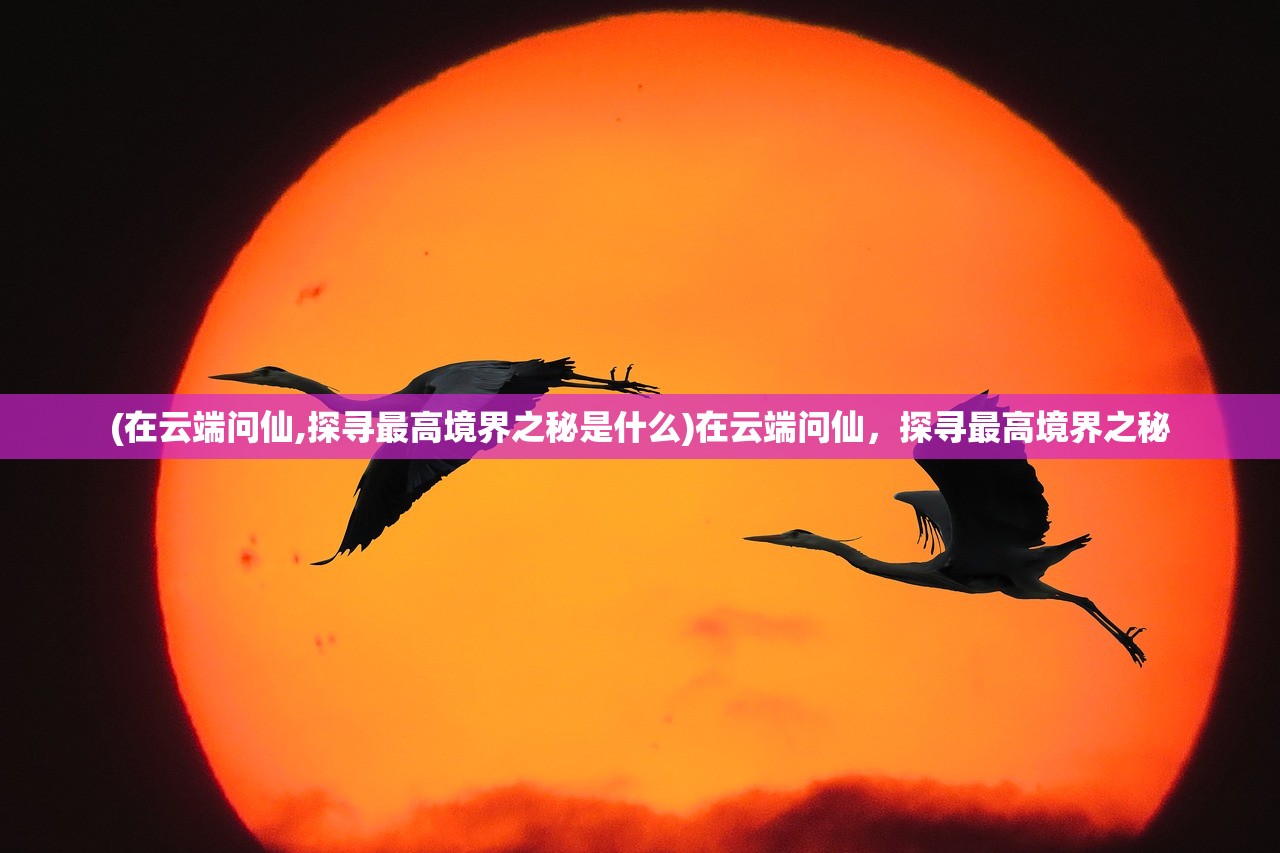 (唱舞全明星宠物攻略)唱舞全明星精英宠物时间表详解及特色分析