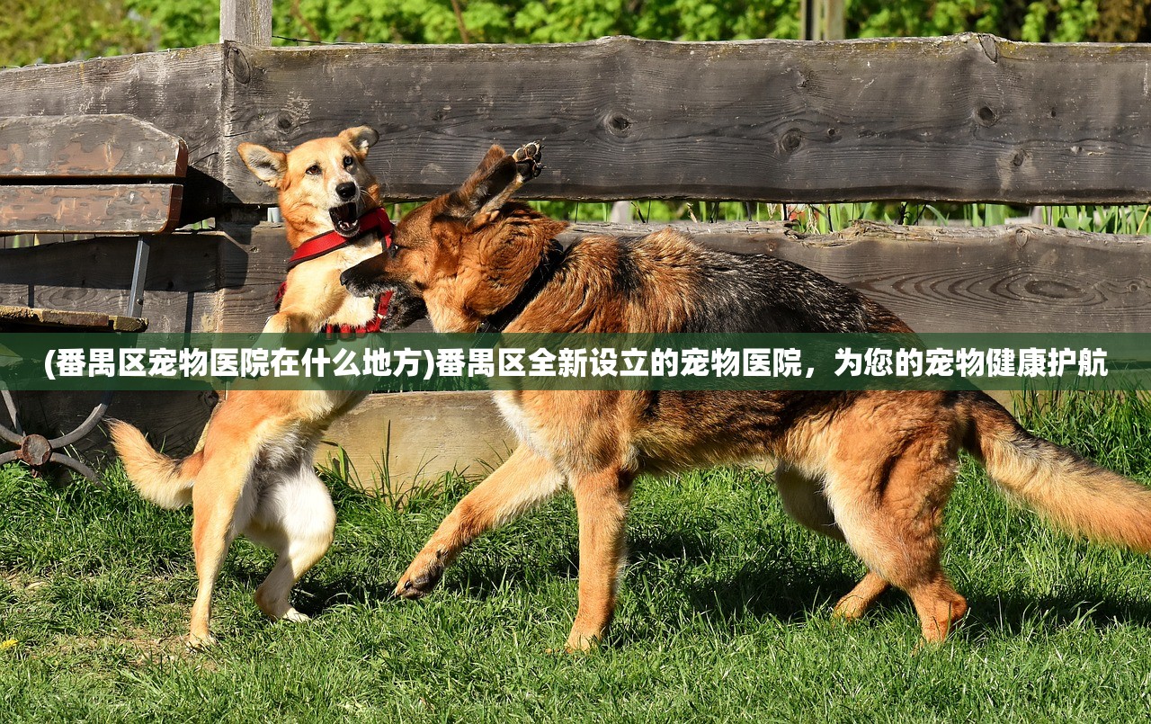 (三国传说攻略大全)三国传说攻略大全及常见问题解答