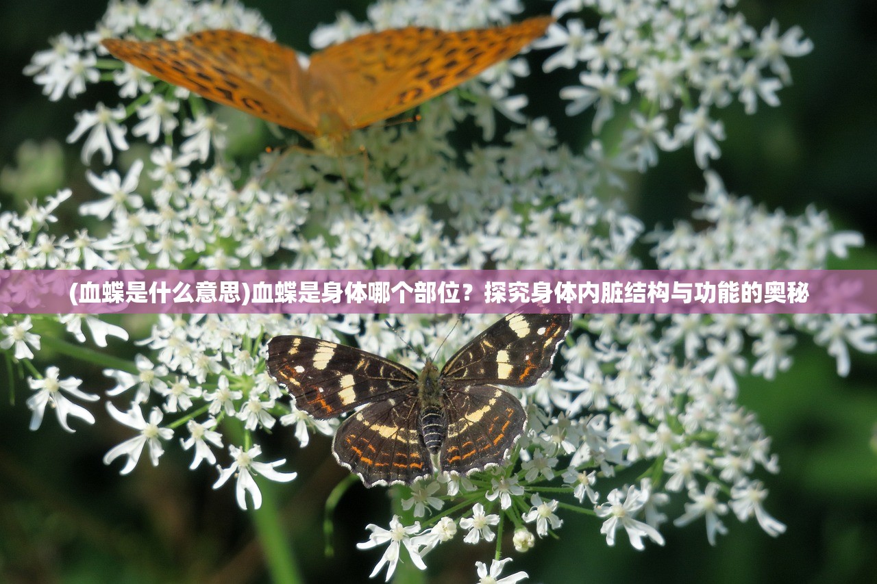 (异次元大作战火影最强阵容)异次元大作战火影，跨越次元的火影传奇