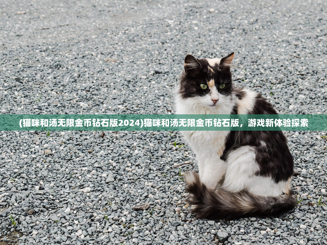 (超凡先锋国际服下载)超凡先锋国际服，玩家的新战场