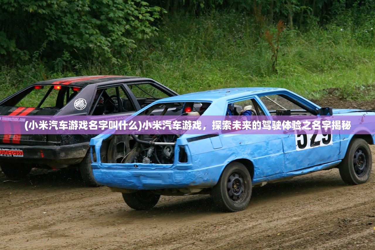 (小米汽车游戏名字叫什么)小米汽车游戏，探索未来的驾驶体验之名字揭秘
