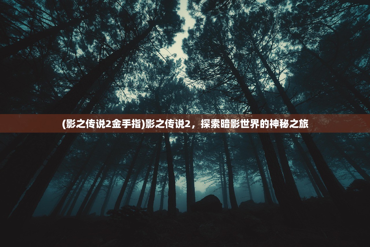 (影之传说2金手指)影之传说2，探索暗影世界的神秘之旅