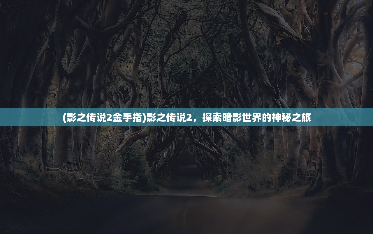 (影之传说2金手指)影之传说2，探索暗影世界的神秘之旅