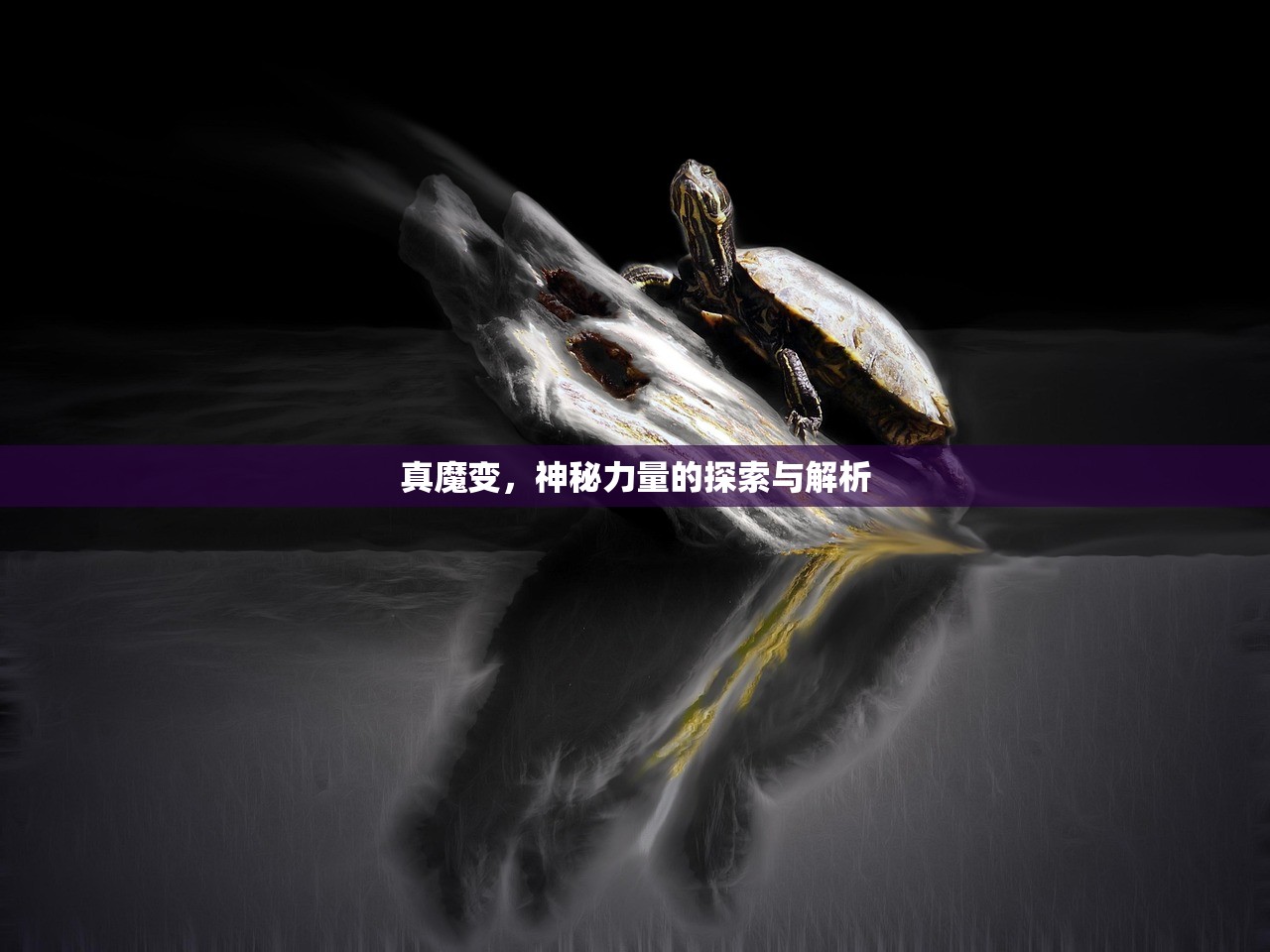 (大话悟空手游百度百科)大话悟空手游，深度解析与常见问题解答