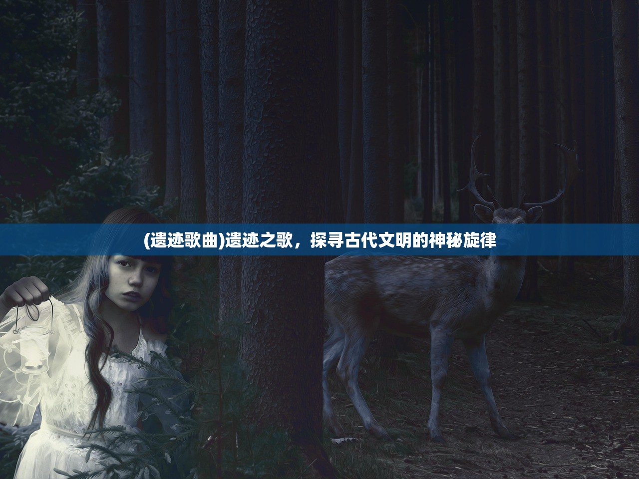 (塞维尔怎么不见了)塞维尔的笔记与日本，探索与洞察