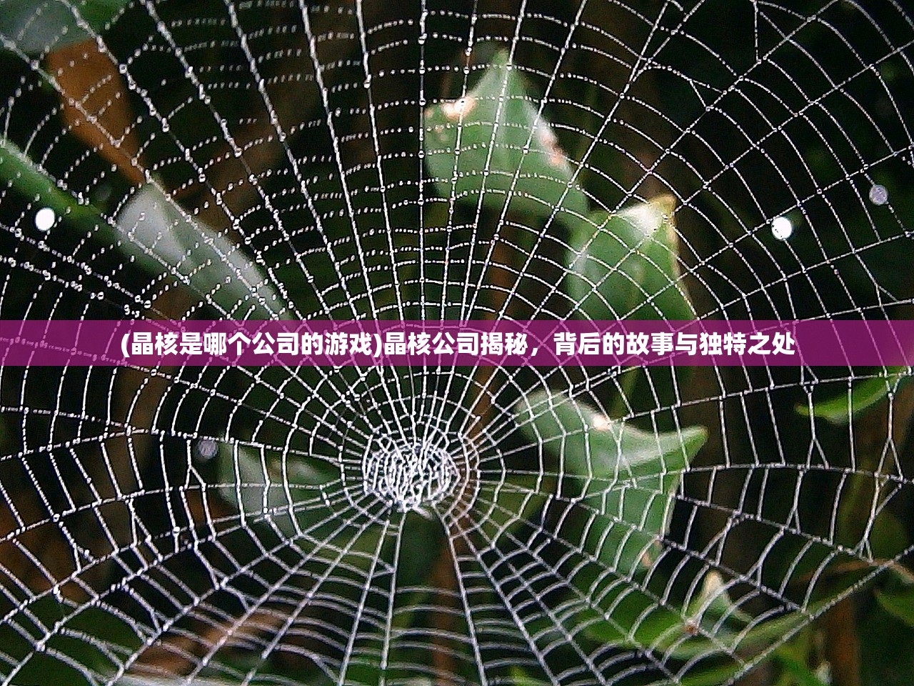 (神器传说0氪最强阵容)神器传说终身卡免费获取攻略及常见问题解答