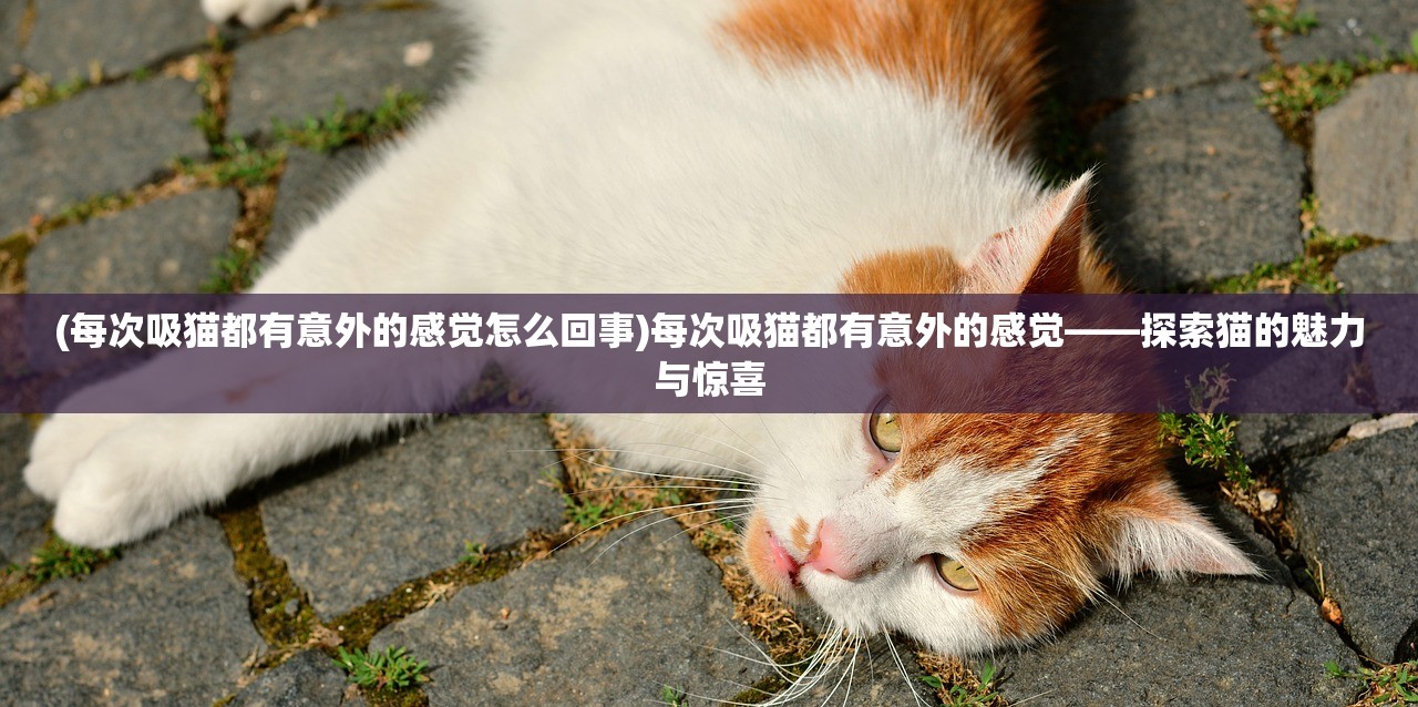 (代号7海)代号七海，游戏是否已关闭？详解与常见问题解答