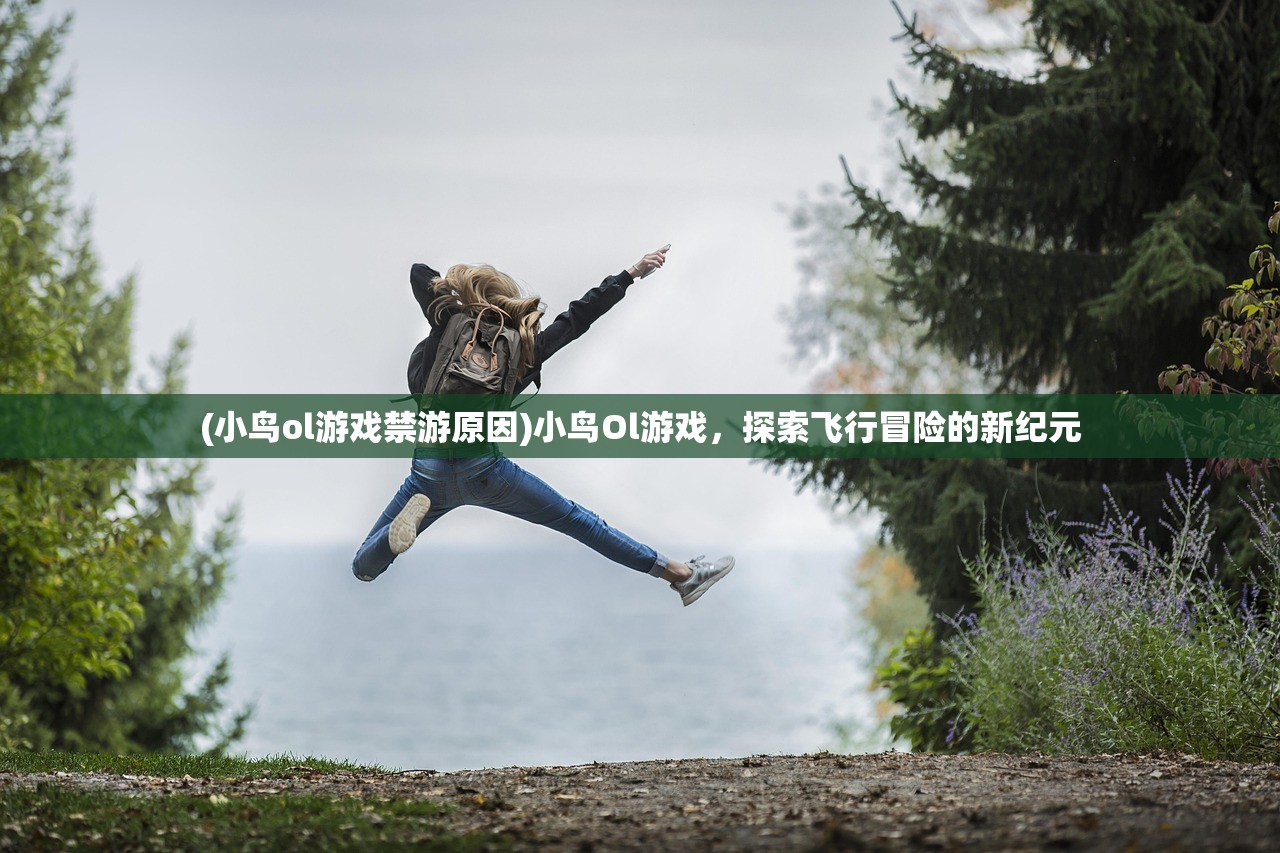 (小鸟ol游戏禁游原因)小鸟Ol游戏，探索飞行冒险的新纪元