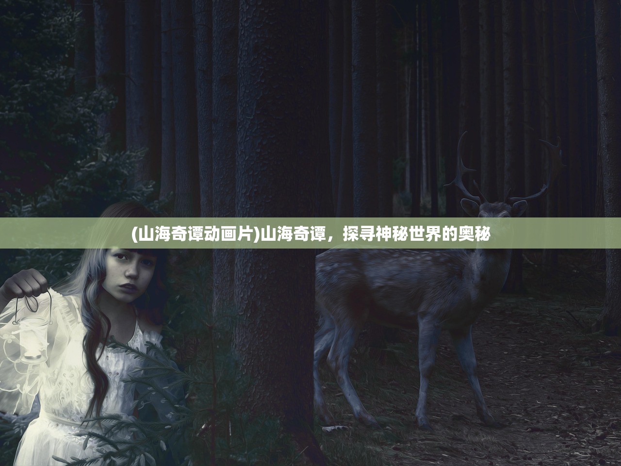 (山海奇谭动画片)山海奇谭，探寻神秘世界的奥秘