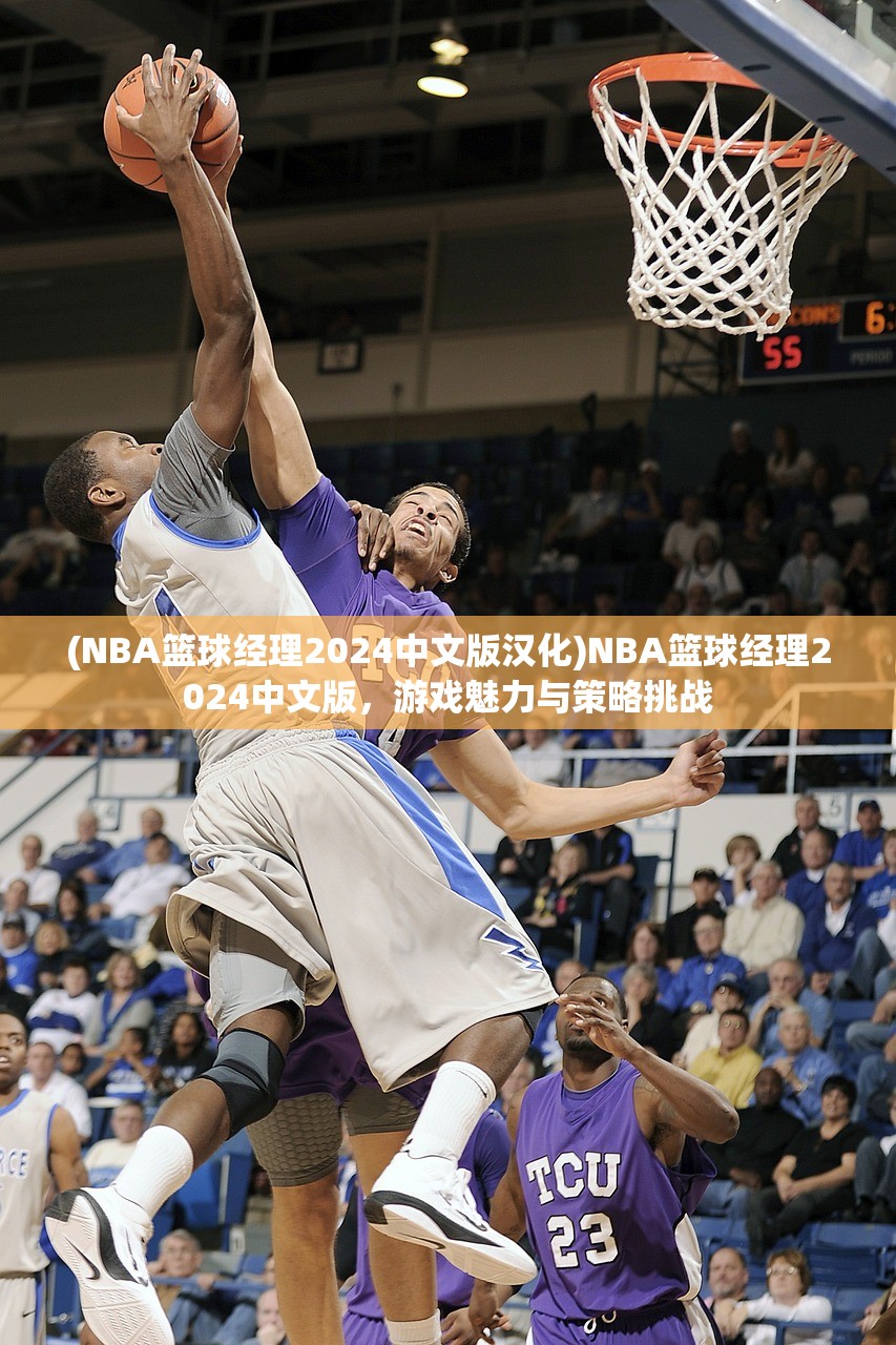 (NBA篮球经理2024中文版汉化)NBA篮球经理2024中文版，游戏魅力与策略挑战