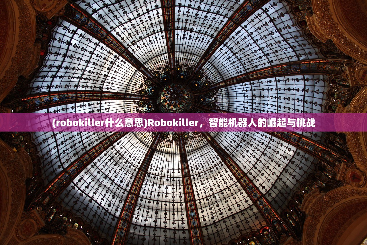 (robokiller什么意思)Robokiller，智能机器人的崛起与挑战