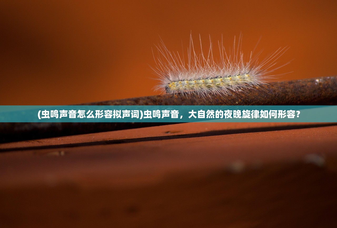 (虫鸣声音怎么形容拟声词)虫鸣声音，大自然的夜晚旋律如何形容？