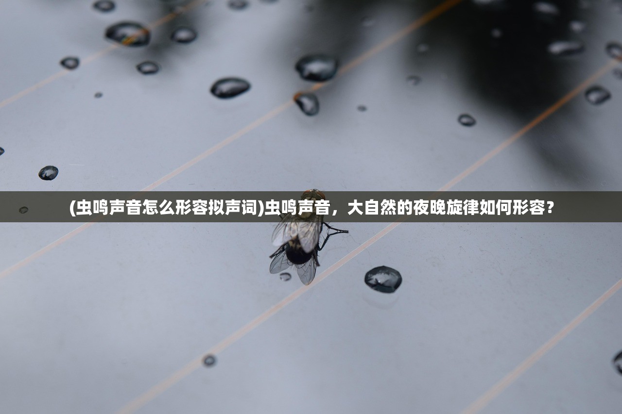 (虫鸣声音怎么形容拟声词)虫鸣声音，大自然的夜晚旋律如何形容？