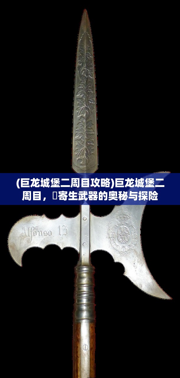 (巨龙城堡二周目攻略)巨龙城堡二周目，櫆寄生武器的奥秘与探险
