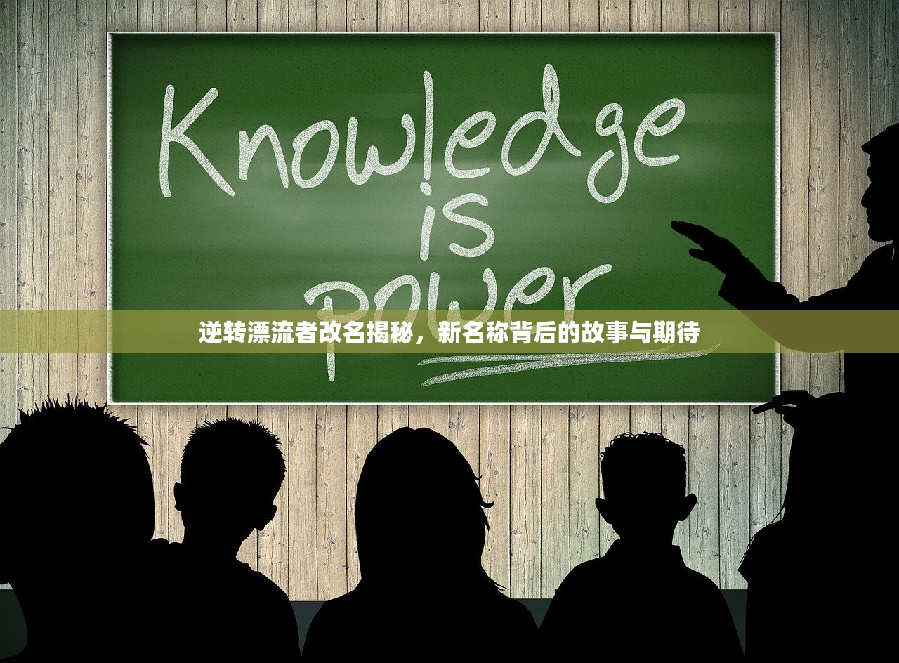 逆转漂流者改名揭秘，新名称背后的故事与期待