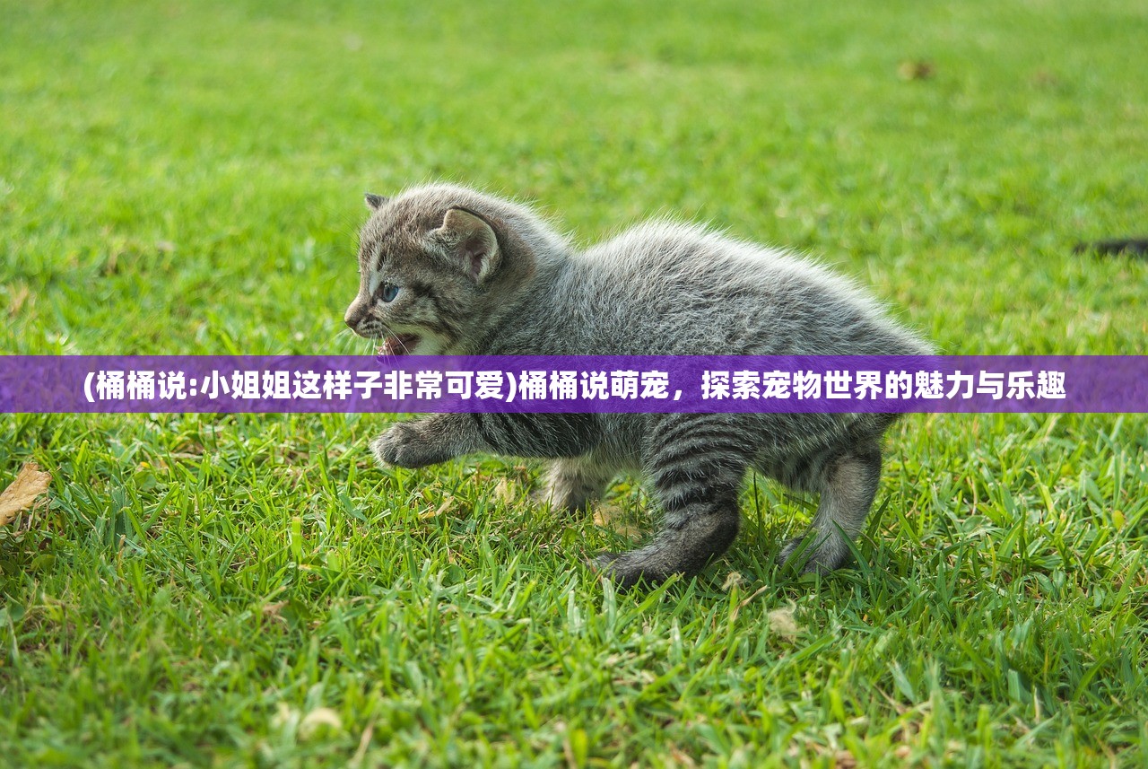 (桶桶说:小姐姐这样子非常可爱)桶桶说萌宠，探索宠物世界的魅力与乐趣