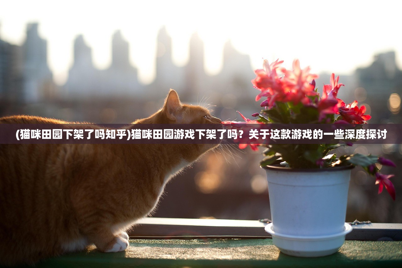 (猫咪田园下架了吗知乎)猫咪田园游戏下架了吗？关于这款游戏的一些深度探讨