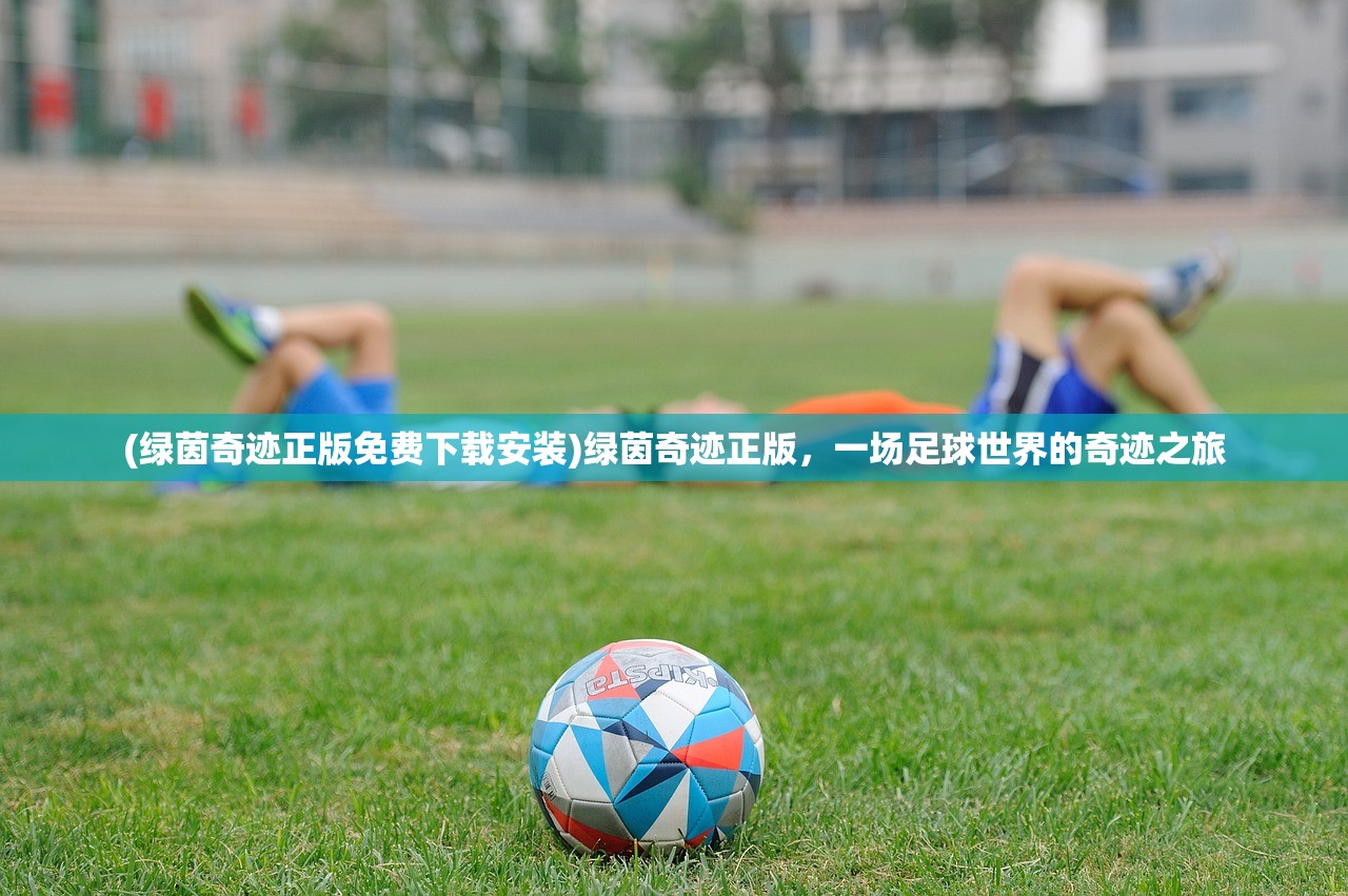 (绿茵奇迹正版免费下载安装)绿茵奇迹正版，一场足球世界的奇迹之旅
