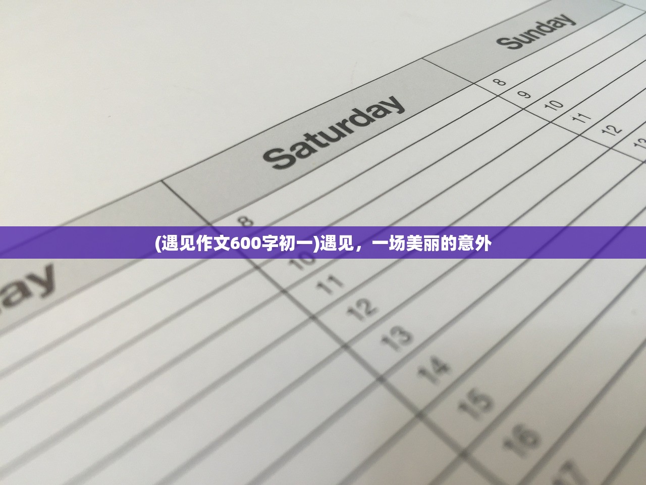 (遇见作文600字初一)遇见，一场美丽的意外