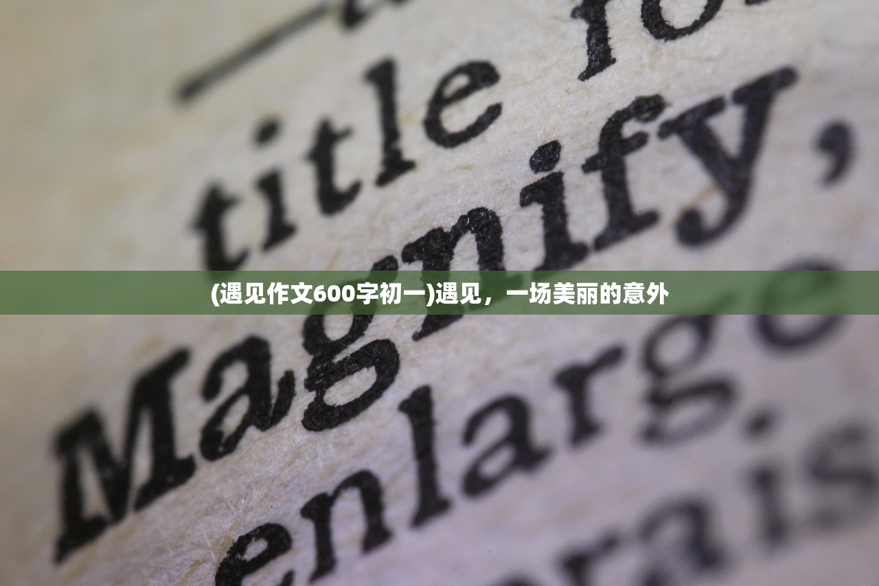 (遇见作文600字初一)遇见，一场美丽的意外
