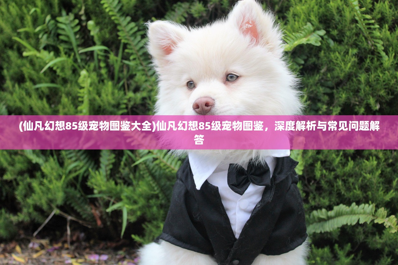 (听辨音高游戏)辨音高手游戏，一场听觉的盛宴与挑战