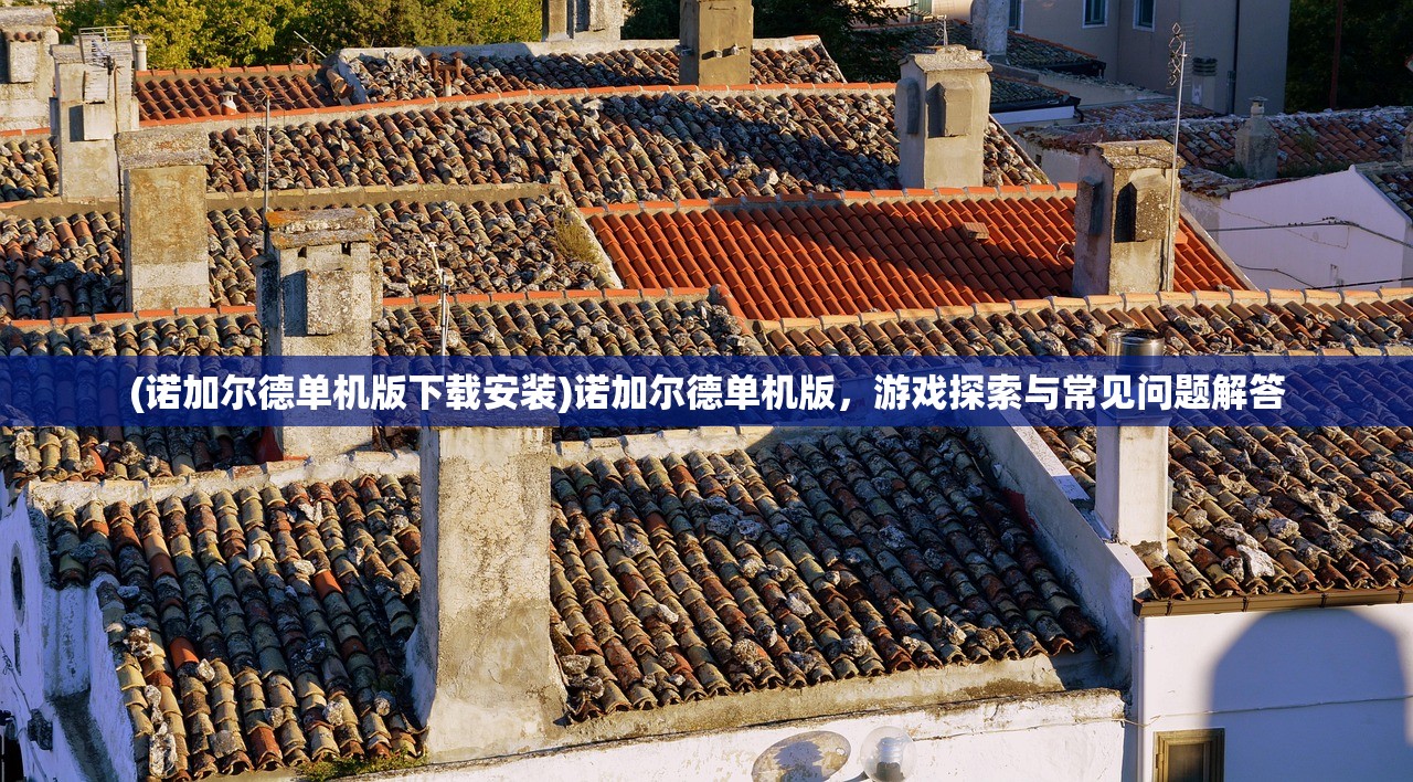 (诺加尔德单机版下载安装)诺加尔德单机版，游戏探索与常见问题解答