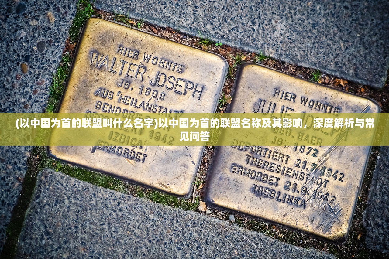 (以中国为首的联盟叫什么名字)以中国为首的联盟名称及其影响，深度解析与常见问答