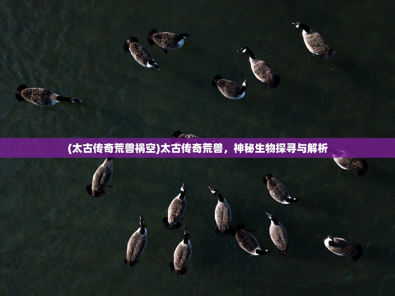 (太古传奇荒兽祸空)太古传奇荒兽，神秘生物探寻与解析