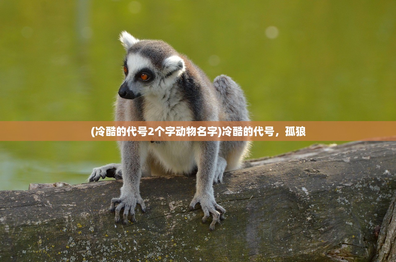 (异世界转生模拟器折相思破解版)异世界转生模拟器折相思，深度探索与解析