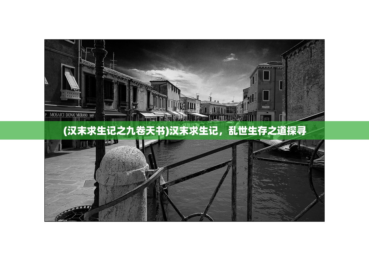 (汉末求生记之九卷天书)汉末求生记，乱世生存之道探寻