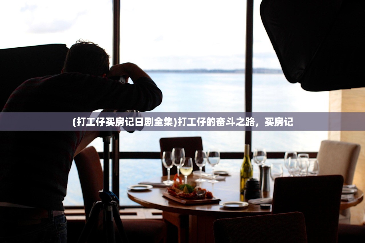 (打工仔买房记日剧全集)打工仔的奋斗之路，买房记