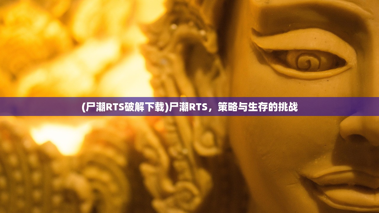 (萌兽贝贝安卓版)萌兽贝贝安卓，游戏魅力与深度探索
