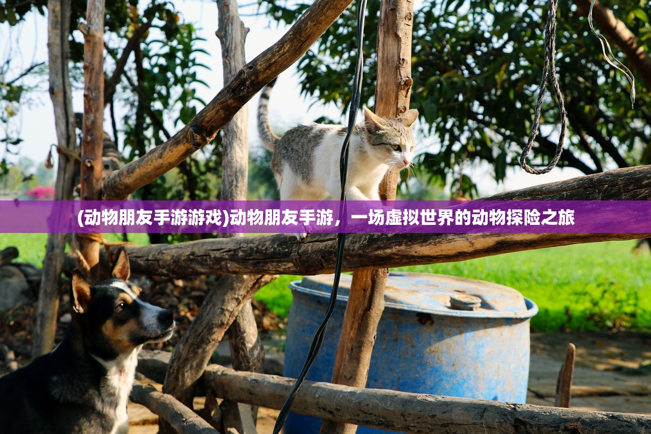 (小程序龙塔传奇怎么玩)小程序龙塔传奇，探索神秘世界的无尽魅力