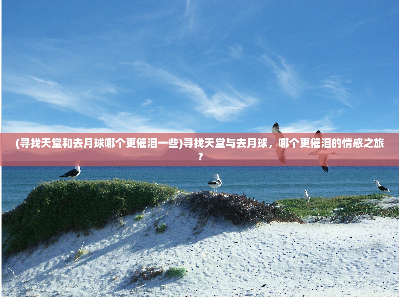 (寻找天堂和去月球哪个更催泪一些)寻找天堂与去月球，哪个更催泪的情感之旅？