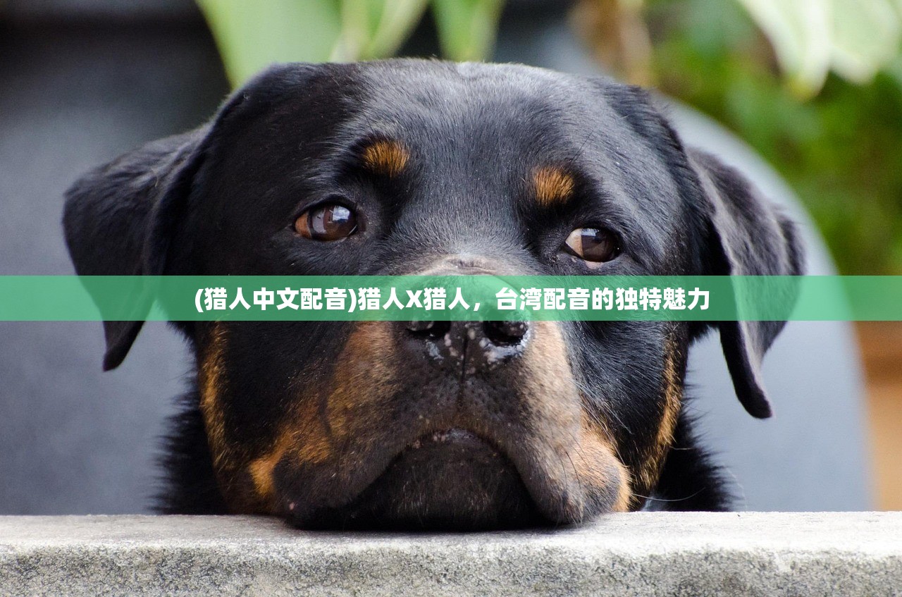 (猎人中文配音)猎人X猎人，台湾配音的独特魅力